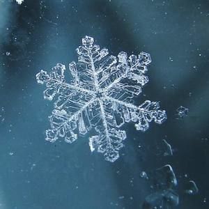 Meet your Posher, Daniela